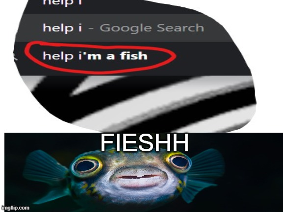 help i | FIESHH | image tagged in fish | made w/ Imgflip meme maker