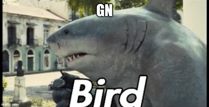 King shark bird | GN | image tagged in king shark bird | made w/ Imgflip meme maker