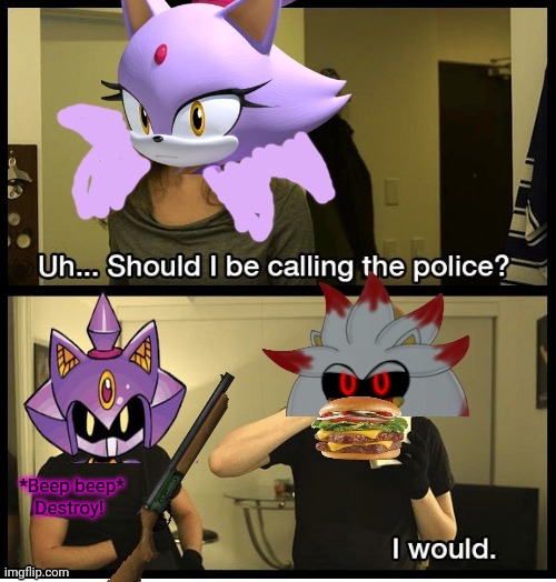 Blaze.exe joins the battle | *Beep beep*
Destroy! | image tagged in blaze the cat,blazeexe,silverexe,sonic the hedgehog | made w/ Imgflip meme maker