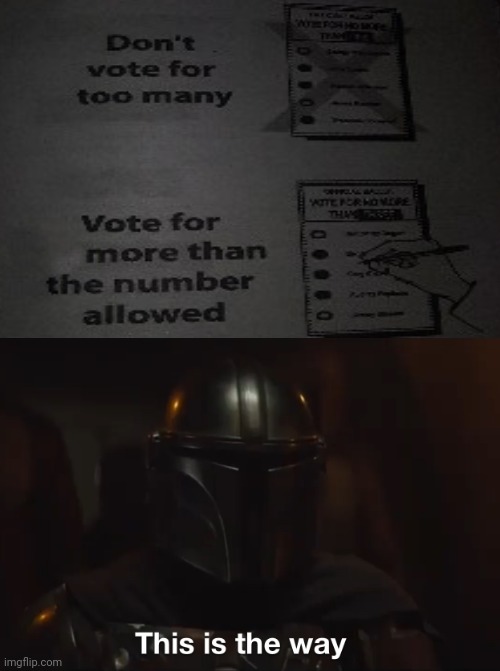 How to vote like Mando | image tagged in this is the way | made w/ Imgflip meme maker
