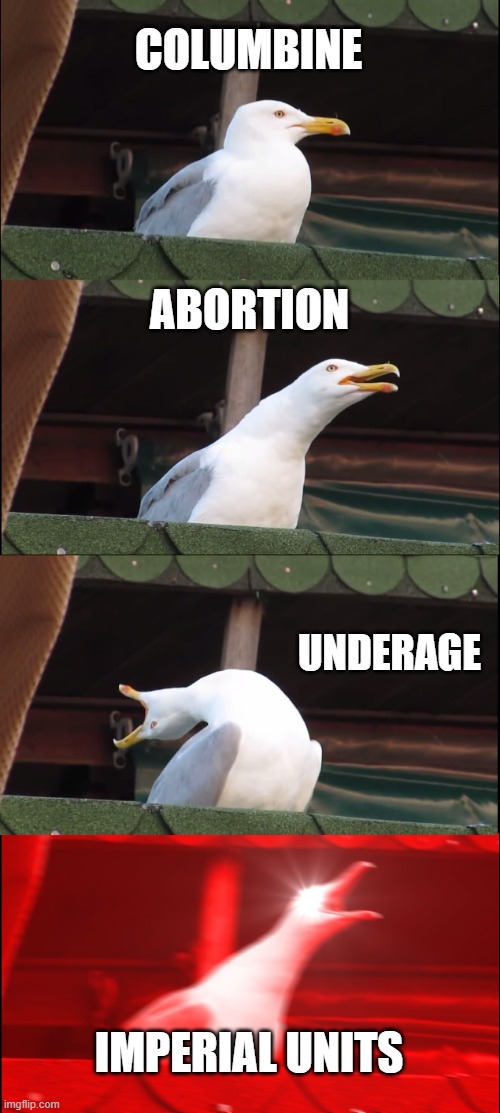 Me in discord servers | COLUMBINE; ABORTION; UNDERAGE; IMPERIAL UNITS | image tagged in memes,inhaling seagull,discord,school shooting,abortion | made w/ Imgflip meme maker