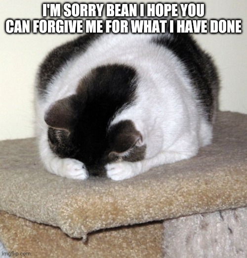 I AM Sorry, World | I'M SORRY BEAN I HOPE YOU CAN FORGIVE ME FOR WHAT I HAVE DONE | image tagged in i am sorry world | made w/ Imgflip meme maker