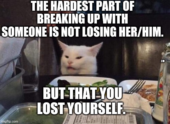 Salad cat | THE HARDEST PART OF BREAKING UP WITH SOMEONE IS NOT LOSING HER/HIM. J M; BUT THAT YOU LOST YOURSELF. | image tagged in salad cat | made w/ Imgflip meme maker