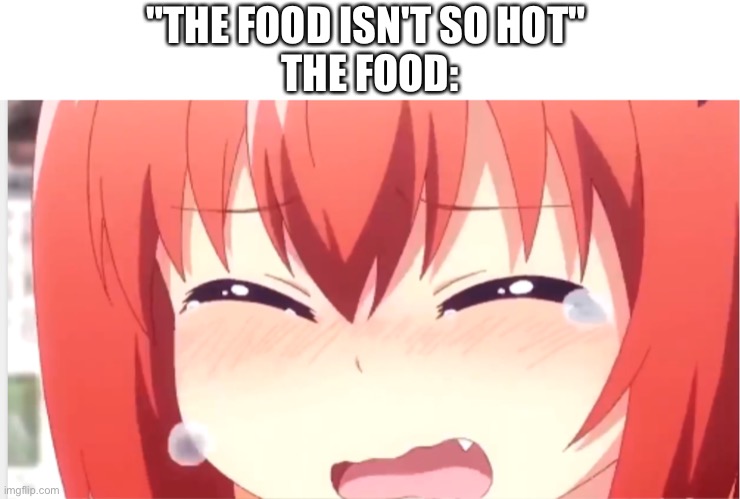 "THE FOOD ISN'T SO HOT" 
THE FOOD: | made w/ Imgflip meme maker