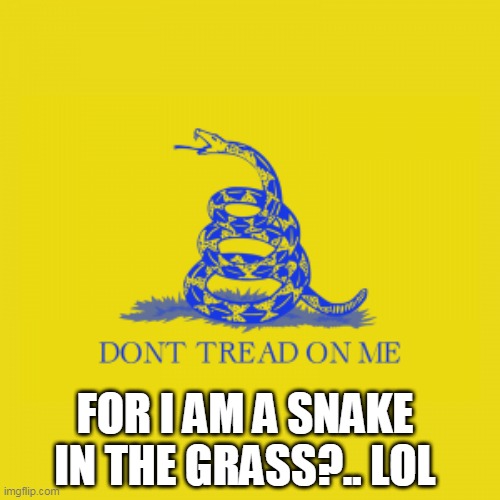 FOR I AM A SNAKE IN THE GRASS?.. LOL | image tagged in nazis | made w/ Imgflip meme maker
