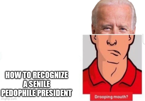 HOW TO RECOGNIZE A SENILE PEDOPHILE PRESIDENT | made w/ Imgflip meme maker
