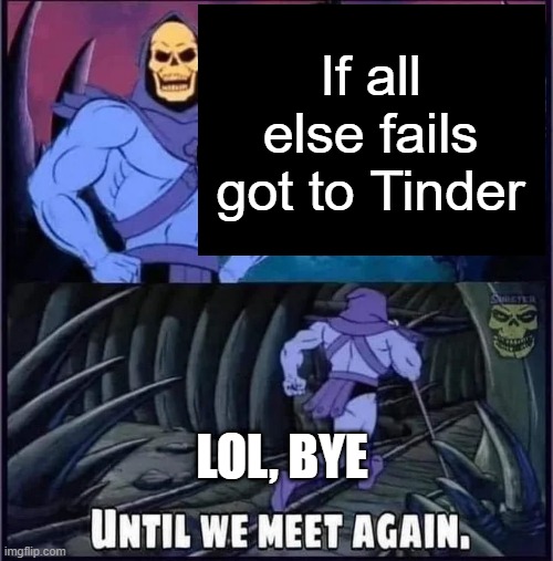 Until we meet again. | If all else fails got to Tinder; LOL, BYE | image tagged in until we meet again,memes | made w/ Imgflip meme maker