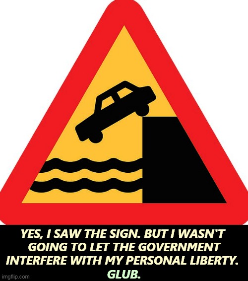 Can your car swim? | YES, I SAW THE SIGN. BUT I WASN'T 
GOING TO LET THE GOVERNMENT INTERFERE WITH MY PERSONAL LIBERTY. GLUB. | image tagged in danger,government,warning,personal,rights | made w/ Imgflip meme maker