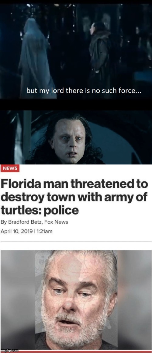 Florida man turtles | image tagged in florida man,turtles,but my lord there is no such force,lord of the rings | made w/ Imgflip meme maker