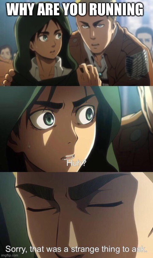 Erwin said “why are you running” at Eren | WHY ARE YOU RUNNING | image tagged in strange question attack on titan,why are you running,attack on titan | made w/ Imgflip meme maker