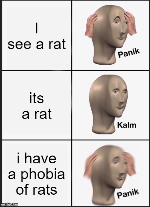 Panik Kalm Panik | I see a rat; its a rat; i have a phobia of rats | image tagged in memes,panik kalm panik | made w/ Imgflip meme maker