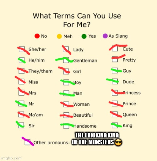 Pronouns Sheet | THE FRICKING KING OF THE MONSTERS 😎 | image tagged in pronouns sheet | made w/ Imgflip meme maker