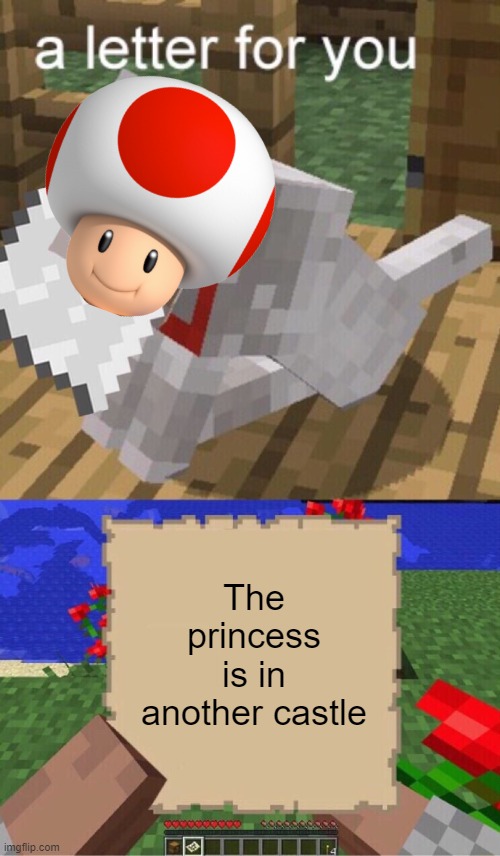 The princess is in another castle | The princess is in another castle | image tagged in minecraft mail,another castle,toad | made w/ Imgflip meme maker
