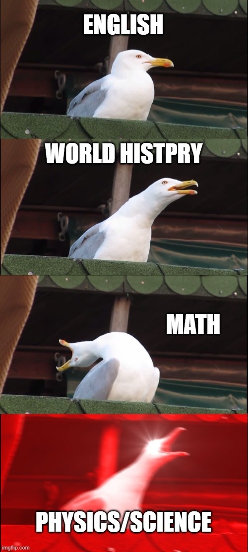 School 101 | ENGLISH; WORLD HISTPRY; MATH; PHYSICS/SCIENCE | image tagged in memes,inhaling seagull,school,online classes,class | made w/ Imgflip meme maker