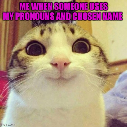 Happiness | ME WHEN SOMEONE USES MY PRONOUNS AND CHOSEN NAME | image tagged in memes,smiling cat,lgbtq | made w/ Imgflip meme maker