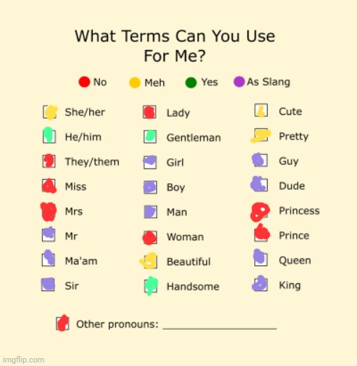 Pronouns Sheet | image tagged in pronouns sheet | made w/ Imgflip meme maker