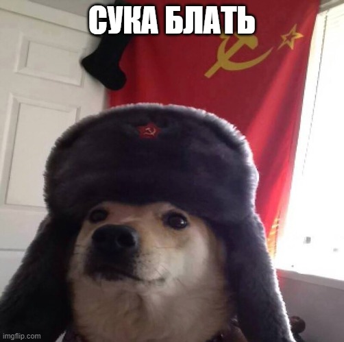 СУКА БЛАТЬ | image tagged in russian doggo cyka blyat | made w/ Imgflip meme maker