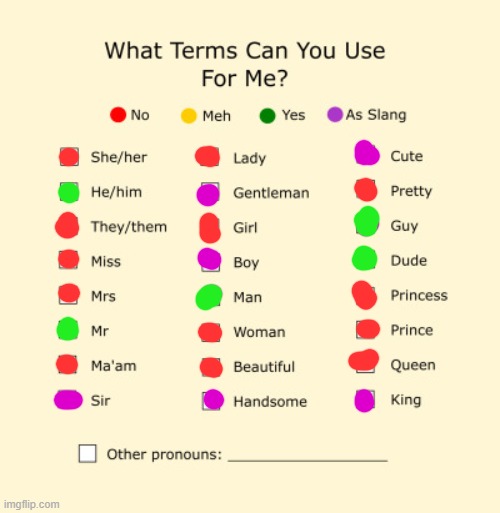 Pronouns Sheet | image tagged in pronouns sheet | made w/ Imgflip meme maker