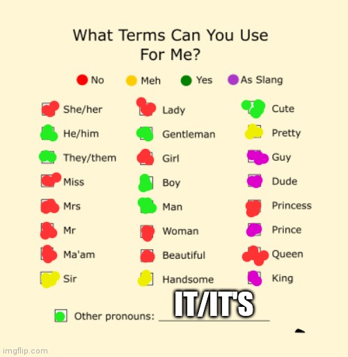 Pronouns Sheet | IT/IT'S | image tagged in pronouns sheet | made w/ Imgflip meme maker