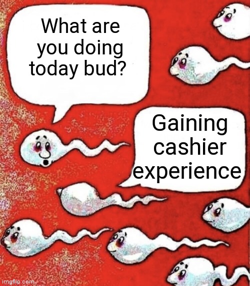 Sperm talk | What are you doing today bud? Gaining cashier experience | image tagged in sperm talk | made w/ Imgflip meme maker