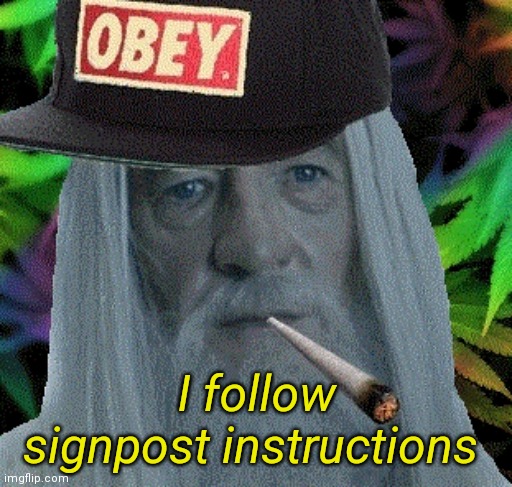 gandalf obey cap | I follow signpost instructions | image tagged in gandalf obey cap | made w/ Imgflip meme maker