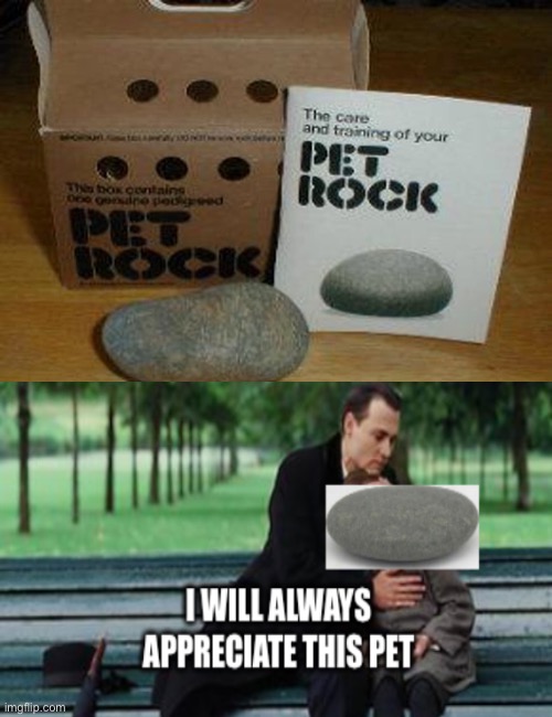 I will appreciate all pets | image tagged in memes,rock,respect | made w/ Imgflip meme maker