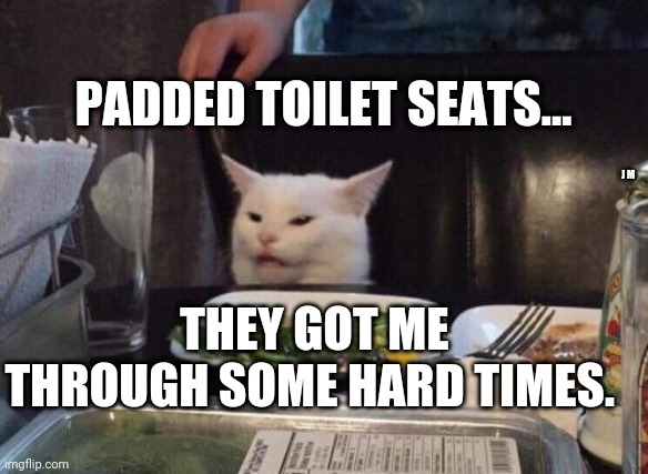 Salad cat | PADDED TOILET SEATS... J M; THEY GOT ME THROUGH SOME HARD TIMES. | image tagged in salad cat | made w/ Imgflip meme maker
