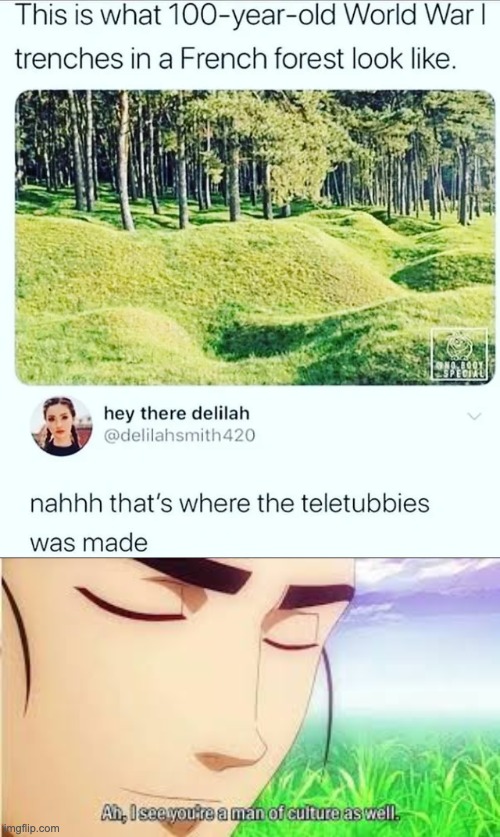 Upvote if the Teletubbies gave you nightmares | image tagged in ah i see you are a man of culture as well,memes,unfunny | made w/ Imgflip meme maker