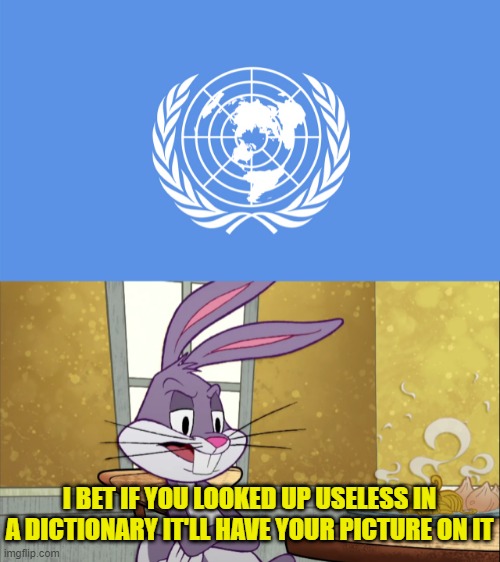 Useless.... | I BET IF YOU LOOKED UP USELESS IN A DICTIONARY IT'LL HAVE YOUR PICTURE ON IT | image tagged in useless,if you looked up x in a dictionary it'll have your picture on it | made w/ Imgflip meme maker