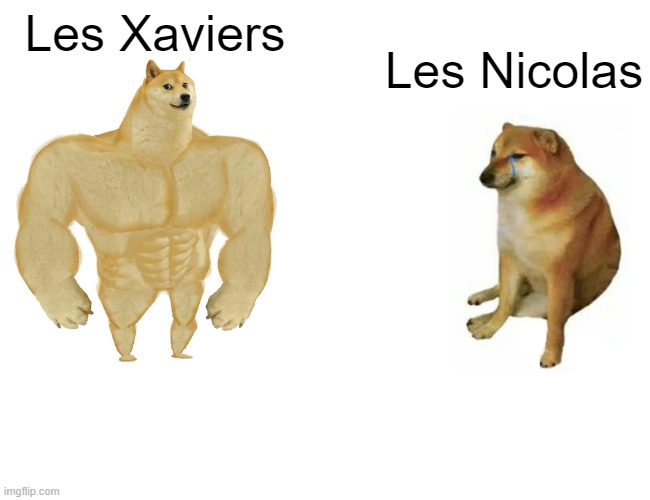 Buff Doge vs. Cheems | Les Xaviers; Les Nicolas | image tagged in memes,buff doge vs cheems | made w/ Imgflip meme maker