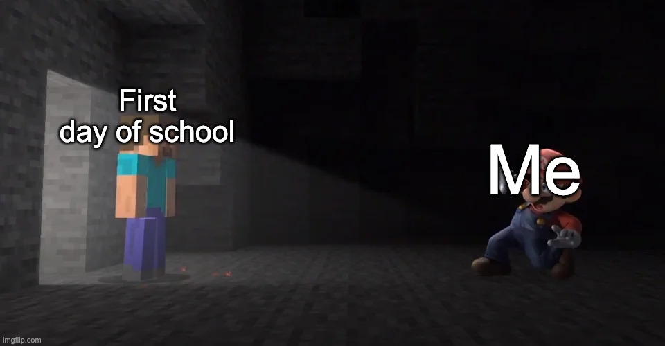 Steve and Mario | First day of school; Me | image tagged in steve and mario | made w/ Imgflip meme maker