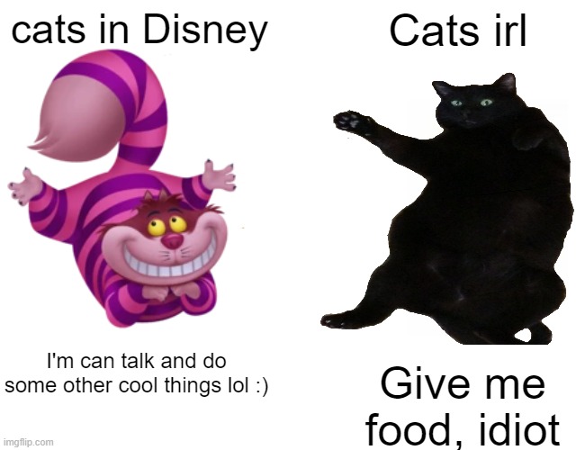 Cats from Disney vs cats IRL | cats in Disney; Cats irl; I'm can talk and do some other cool things lol :); Give me food, idiot | image tagged in memes,buff doge vs cheems,cats | made w/ Imgflip meme maker