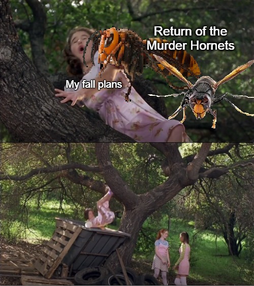 Cokie Knocked Out of the Tree by a Ball and Into the Dumpster | Return of the Murder Hornets; My fall plans | image tagged in cokie knocked out of the tree by a ball and into the dumpster,memes,2021,murder hornets,murder hornet | made w/ Imgflip meme maker