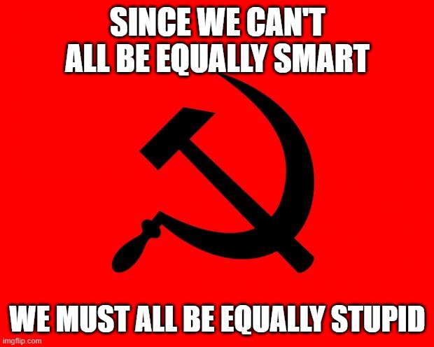 socialist | SINCE WE CAN'T ALL BE EQUALLY SMART WE MUST ALL BE EQUALLY STUPID | image tagged in socialist | made w/ Imgflip meme maker