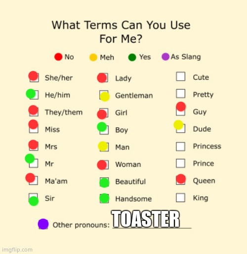 Pronouns Sheet | TOASTER | image tagged in pronouns sheet | made w/ Imgflip meme maker