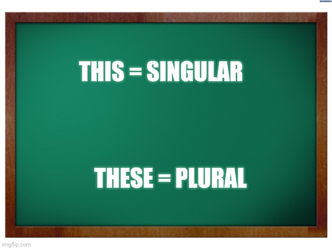 Green Blank Blackboard | THIS = SINGULAR THESE = PLURAL | image tagged in green blank blackboard | made w/ Imgflip meme maker