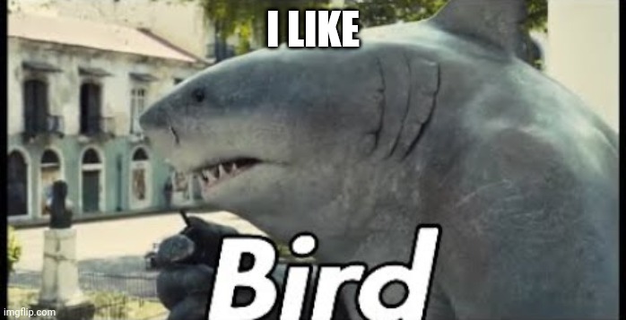 King shark bird | I LIKE | image tagged in king shark bird | made w/ Imgflip meme maker