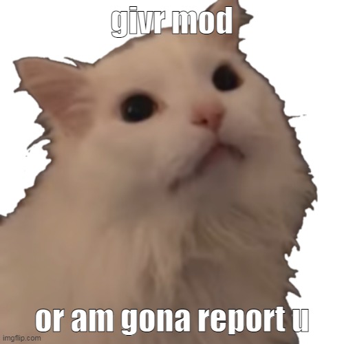 /joke | givr mod; or am gona report u | image tagged in transparent thurston waffles | made w/ Imgflip meme maker