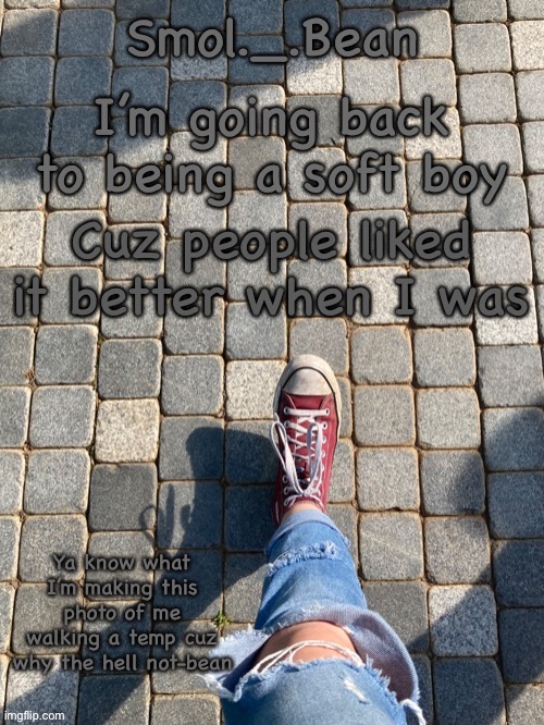Boy girl non-binary idfk anymore | I’m going back to being a soft boy; Cuz people liked it better when I was | image tagged in beans foot temp | made w/ Imgflip meme maker