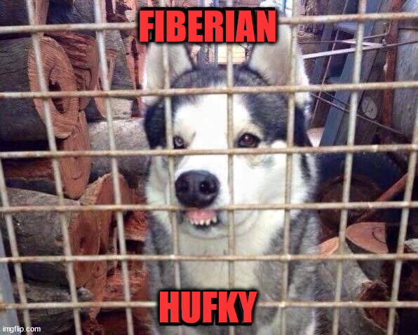 FIBERIAN; HUFKY | image tagged in dogs | made w/ Imgflip meme maker