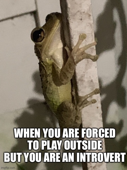 WHEN YOU ARE FORCED TO PLAY OUTSIDE BUT YOU ARE AN INTROVERT | image tagged in funny | made w/ Imgflip meme maker