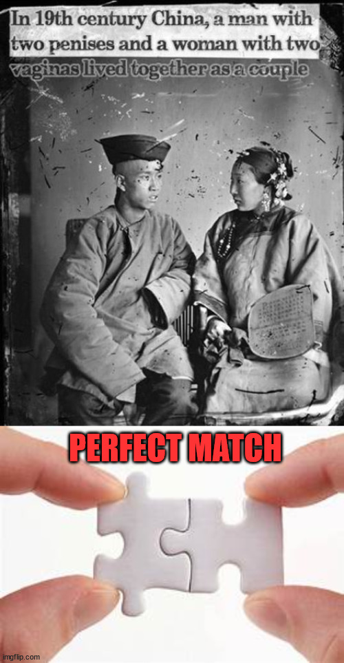 PERFECT MATCH | image tagged in perfect match | made w/ Imgflip meme maker