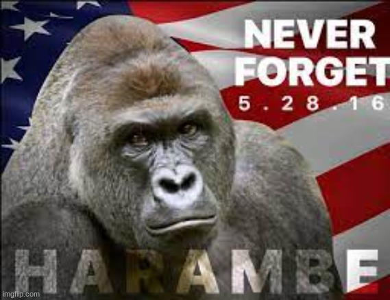 #neverforget | made w/ Imgflip meme maker