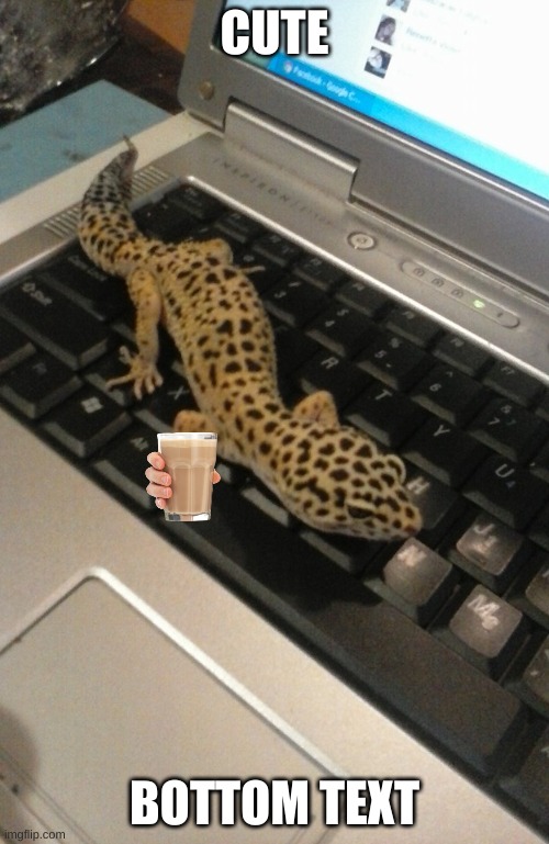 Leopard Gecko named Lana | CUTE; BOTTOM TEXT | image tagged in leopard gecko named lana | made w/ Imgflip meme maker