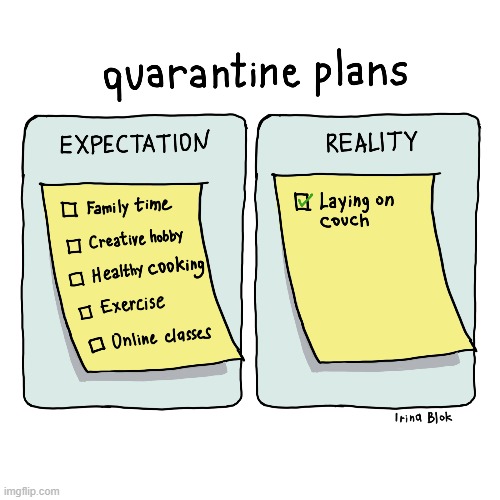 Pandemic Thinking | image tagged in memes,comics,pandemic,quarantine,plans,expectation vs reality | made w/ Imgflip meme maker