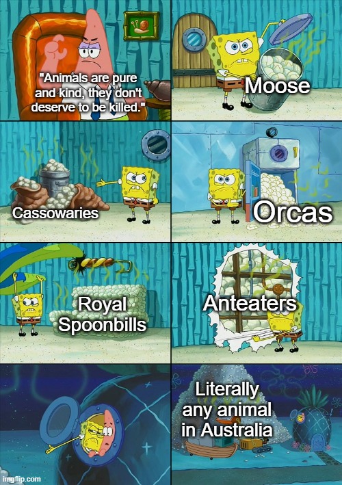 wild life is strange | Moose; "Animals are pure and kind, they don't deserve to be killed."; Orcas; Cassowaries; Anteaters; Royal Spoonbills; Literally any animal in Australia | image tagged in spongebob shows patrick garbage | made w/ Imgflip meme maker