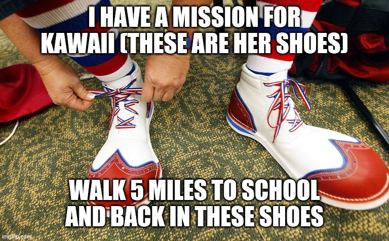 She's a clown. | I HAVE A MISSION FOR KAWAII (THESE ARE HER SHOES); WALK 5 MILES TO SCHOOL AND BACK IN THESE SHOES | image tagged in clown shoes | made w/ Imgflip meme maker