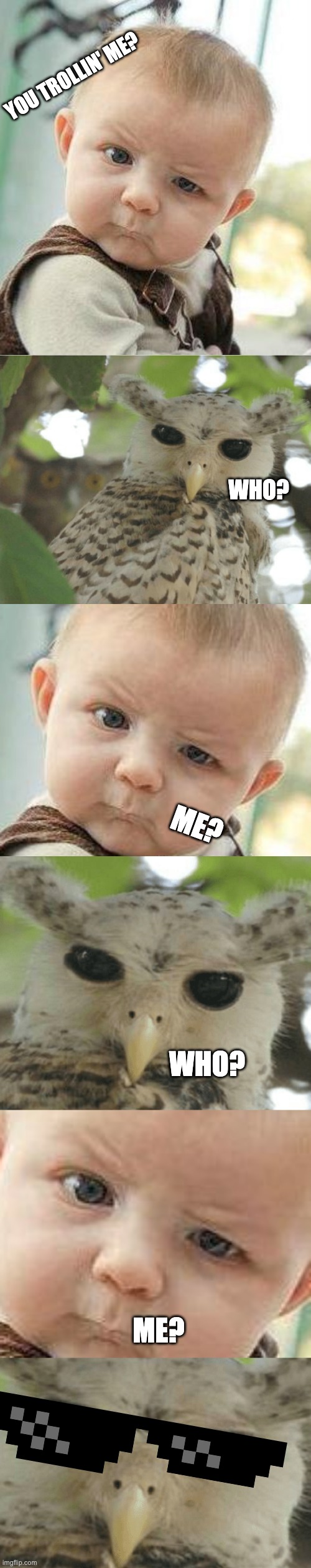 WHO? | YOU TROLLIN' ME? WHO? ME? WHO? ME? | image tagged in confused baby,confused owl | made w/ Imgflip meme maker