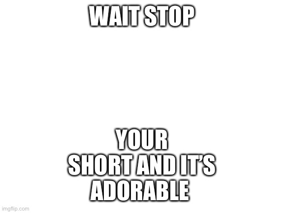 Blank White Template | YOUR SHORT AND IT’S ADORABLE; WAIT STOP | image tagged in blank white template | made w/ Imgflip meme maker