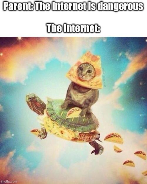 [name] | Parent: The internet is dangerous
 

The internet: | image tagged in space pizza cat turtle tacos | made w/ Imgflip meme maker